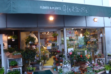 「銀花園」　（京都府京都市左京区）の花屋店舗写真1