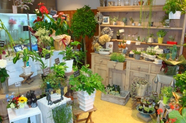 「銀花園」　（京都府京都市左京区）の花屋店舗写真2